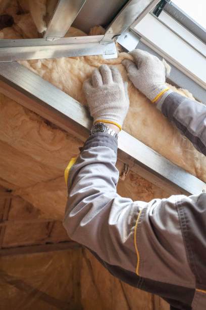 Best Attic Insulation Installation  in Lakeview, WA